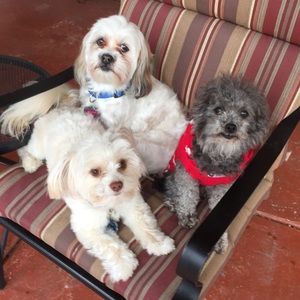 Meet your Posher, Matthew